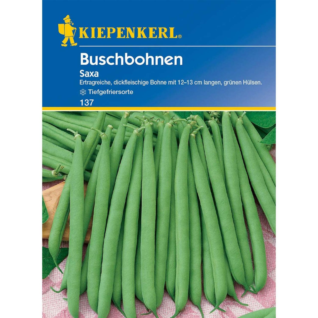 Kategorie <b>Gemüse-Samen </b> - Buschbohne 'Saxa' - Phaseolus vulgaris var. nanus