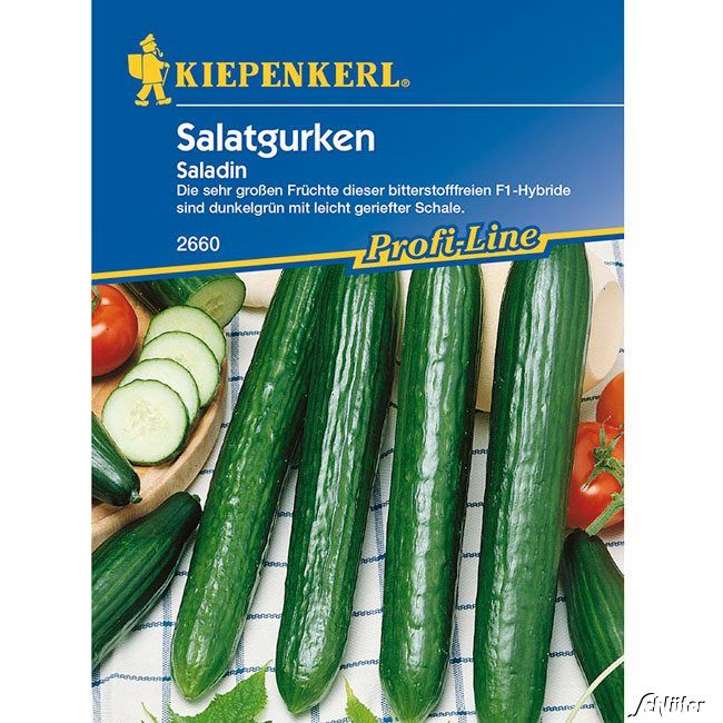 Kategorie <b>Gemüse-Samen </b> - Salatgurke 'Saladin' - Cucumis sativus