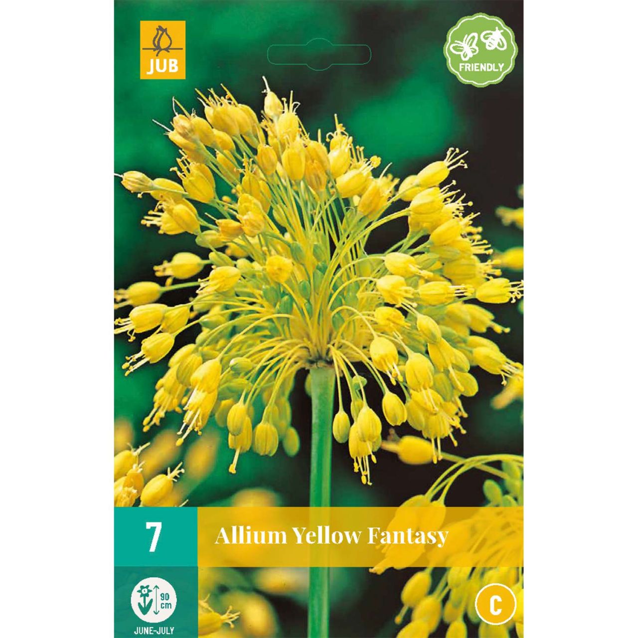 Kategorie <b>Herbst-Blumenzwiebeln </b> - Allium 'Yellow Fantasy®'- 7 Stück - Allium chloranthum