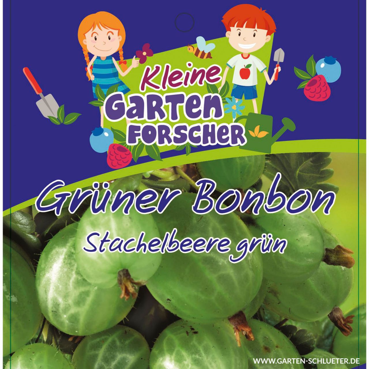 Kategorie <b>Beeren </b> - Grüne Stachelbeere 'Grüner Bonbon' Kleine Gartenforscher - Ribes uva-crispa
