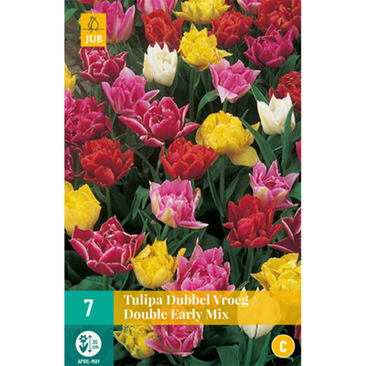 Kategorie <b>Herbst-Blumenzwiebeln </b> - Gefüllte frühe Tulpe 'Mischung' - 7 Stück - Tulipa 'Mischung'