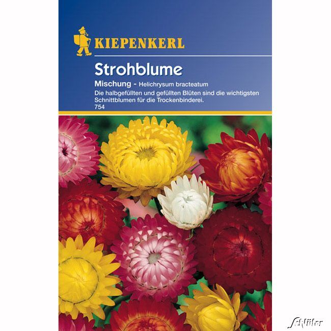 Kategorie <b>Blumensamen </b> - Strohblumen-Mischung - Helichrysum bracteatum