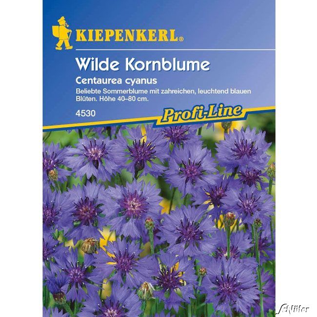 Kategorie <b>Blumensamen </b> - Kornblume - Centaurea cyanus