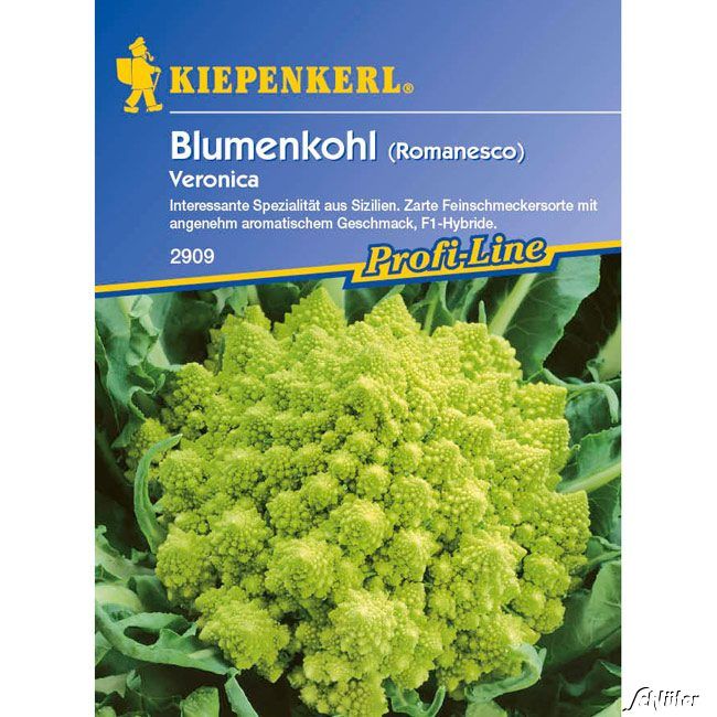 Kategorie <b>Gemüse-Samen </b> - Grüner Blumenkohl 'Veronica' (Romanesco) - Brassica oleracea var. botrytis