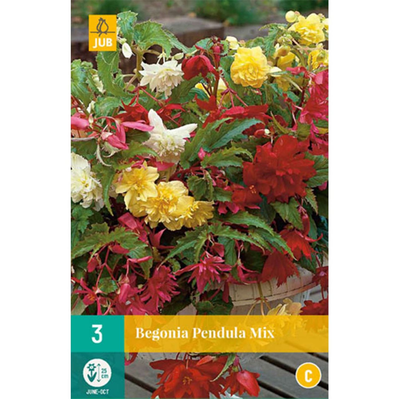 Kategorie <b>Frühlings-Blumenzwiebeln </b> - Hängebegonie 'Pendula Mischung' - 3 Stück - Begonia