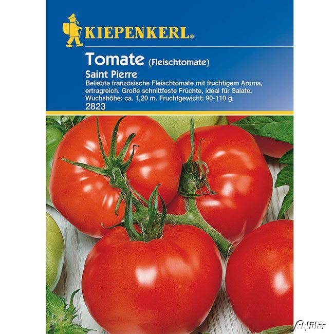 Kategorie <b>Gemüse-Samen </b> - Fleisch-Tomate 'Saint Pierre' - Lycopersicon lycopersicum