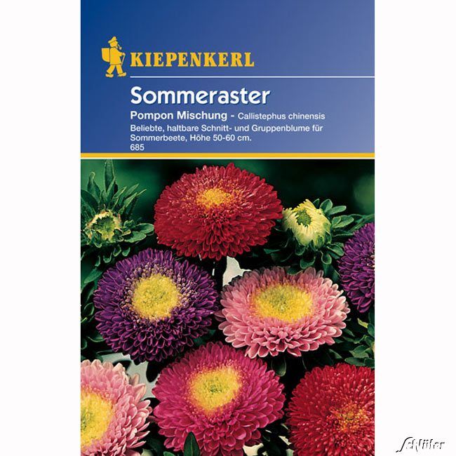 Kategorie <b>Blumensamen </b> - Sommeraster 'Pompon-Mischung' - Callistephus chinensis