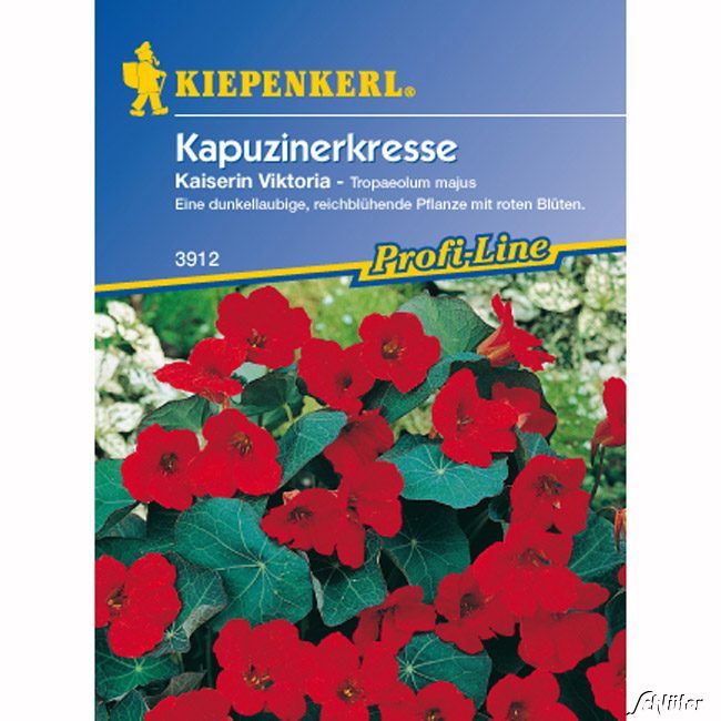 Kategorie <b>Blumensamen </b> - Kapuzinerkresse 'Kaiserin Viktoria' - Tropaeolum majus