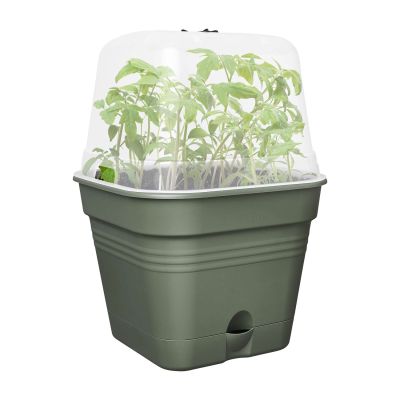 Anzucht-Schale 'Green Basics Allin1' Quadrat Anzucht-Schale 'Green Basics Allin1' Quadrat