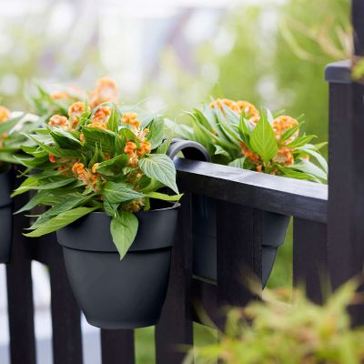 Balkonkasten 'Vibia Campana Flower Twin' Balkonkasten 'Vibia Campana Flower Twin'