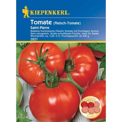 Fleisch-Tomate 'Saint Pierre' Fleisch-Tomate 'Saint Pierre'