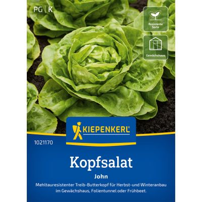 Treibsalat 'John' Treibsalat 'John'