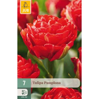 Gefüllte frühe Tulpe 'Pamplona' - 7 Stück