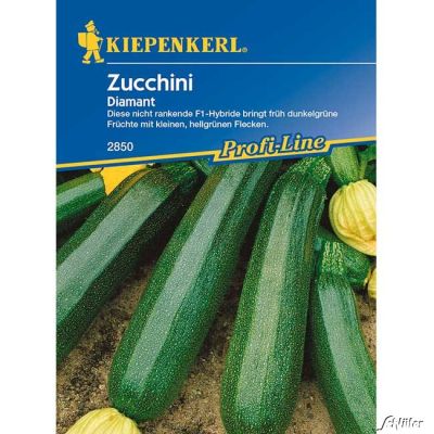 Zucchini 'Diamant' Zucchini 'Diamant'