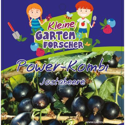 Jostabeere 'Power-Kombi' Kleine Gartenforscher Jostabeere 'Power-Kombi' Kleine Gartenforscher