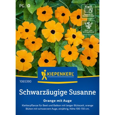 Schwarzäugige Susanne Orange mit Auge