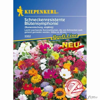 Schneckenresistente Blütensymphonie Schneckenresistente Blütensymphonie