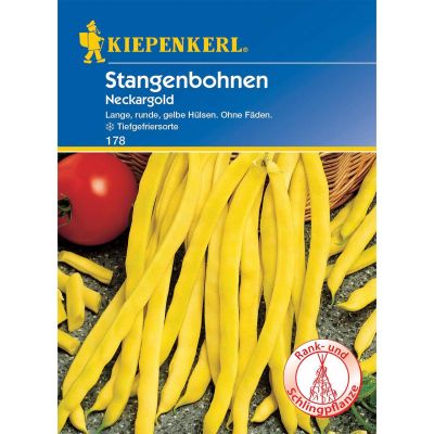 Stangenbohne 'Neckargold' Stangenbohne 'Neckargold'