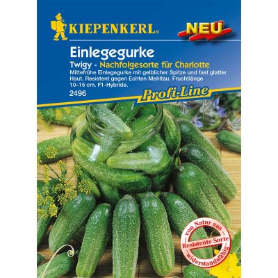 Einlegegurke 'Twigy' Einlegegurke 'Twigy'