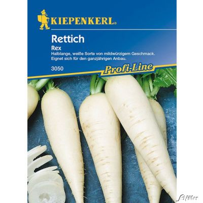 Rettich 'Rex' Rettich 'Rex'