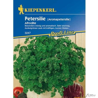 Petersilie (Aromapetersilie) 'Afrodite' Petersilie (Aromapetersilie) 'Afrodite'