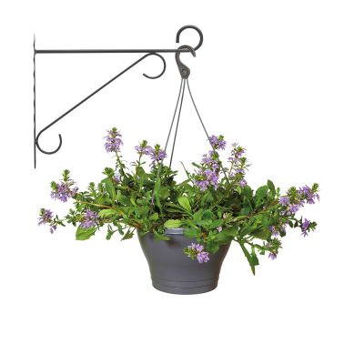 Wandhaken 'Eleganz' Wandhaken 'Eleganz'