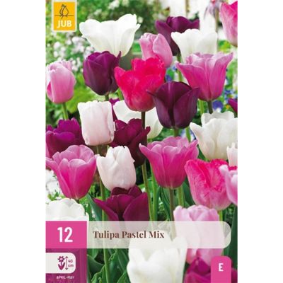 Tulpen Mischung 'Pastell Mix' - 12 Stück