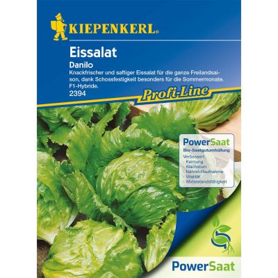 Eissalat 'Danilo' - Powersaat Eissalat 'Danilo' - Powersaat