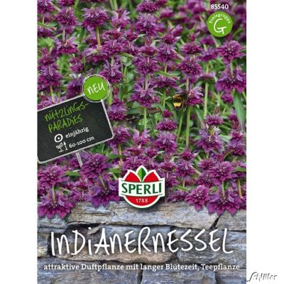 Sperlings Indianernessel