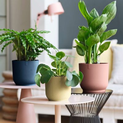 Indoor-Blumentopf 'Vibes Fold Rund' Indoor-Blumentopf 'Vibes Fold Rund'