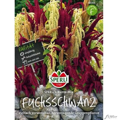 Gartenamarant SPERLING's Fuchsschwanz 'Bunte Mix'