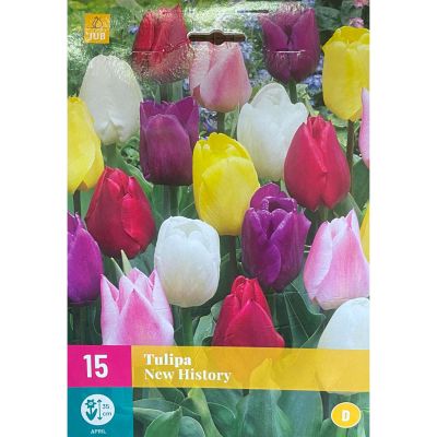 Tulpen Mischung 'New History' - 15 Stück
