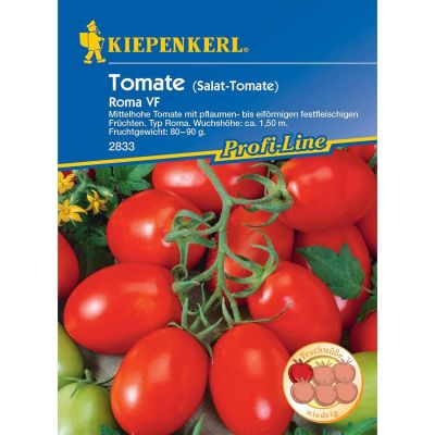 Salattomate 'Roma' Salattomate 'Roma'