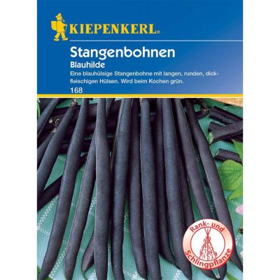 Stangenbohne 'Blauhilde'  Stangenbohne 'Blauhilde'