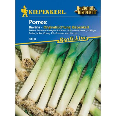 Porree 'Bavaria' Porree 'Bavaria'