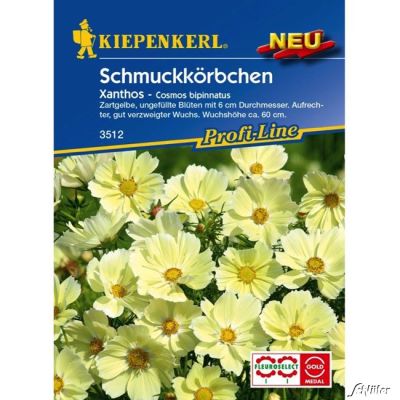 Schmuckkörbchen 'Xanthos' Schmuckkörbchen 'Xanthos'