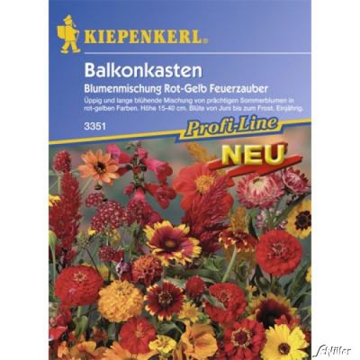 Balkonkasten-Blumenmischung 'Feuerzauber'