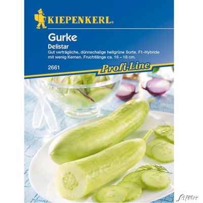 Gurke 'Delistar' Gurke 'Delistar'