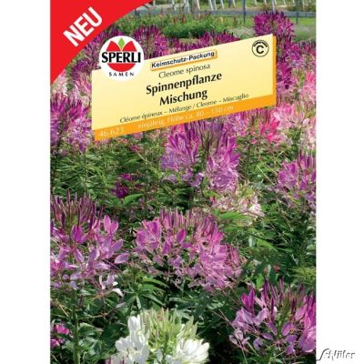 Sperlings Spinnenpflanze (Mischung)