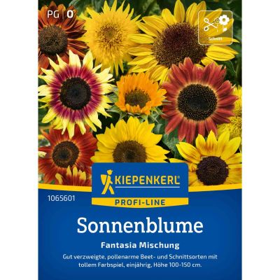 Sonnenblume 'Fantasia-Mix'