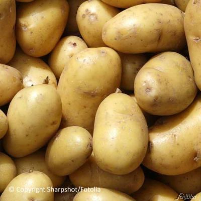 Pflanzkartoffeln 'Princess' Pflanzkartoffeln 'Princess'