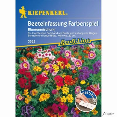 Beeteinfassungsmischung 'Farbenspiel' Beeteinfassungsmischung 'Farbenspiel'