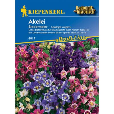 Akelei 'Biedermeier' Akelei 'Biedermeier'