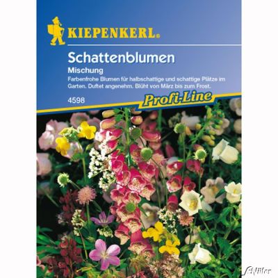 Schattenblumen 'Mischung' Schattenblumen 'Mischung'
