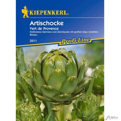 Artischocke 'Vert de Provence' Artischocke 'Vert de Provence'