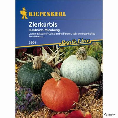 Zier- und Speisekürbis 'Hokkaido Mischung'