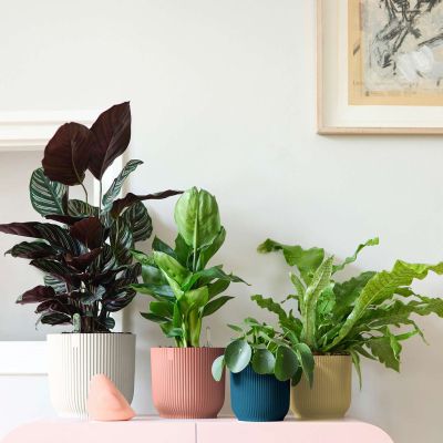 Indoor-Blumentopf 'Vibes Fold Rund Mini' Indoor-Blumentopf 'Vibes Fold Rund Mini'