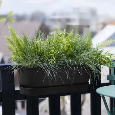 Balkonkasten 'Greenville Easy Balcony'