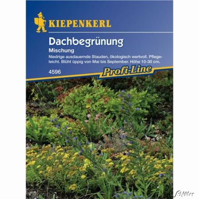 Dachbegrünung 'Mischung' Dachbegrünung 'Mischung'