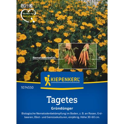 Nematoden-Killer - Tagetes 'Single Gold'
